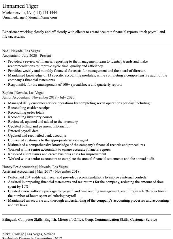 Accountant Example resume sample