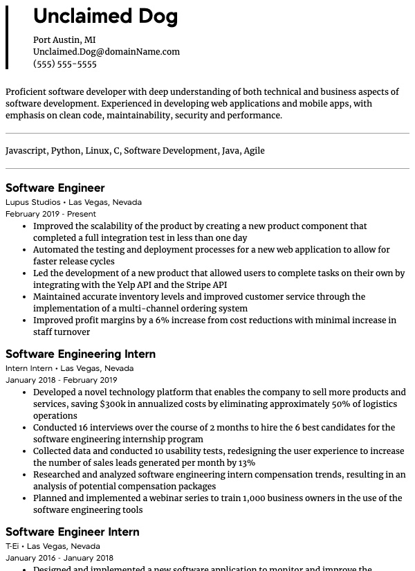 Software Developer Example resume sample