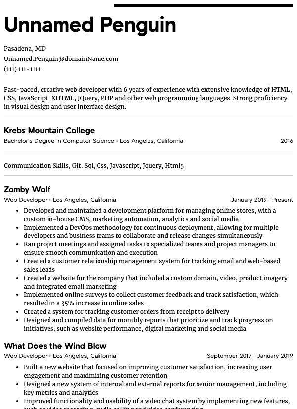 Web Developer Example resume sample